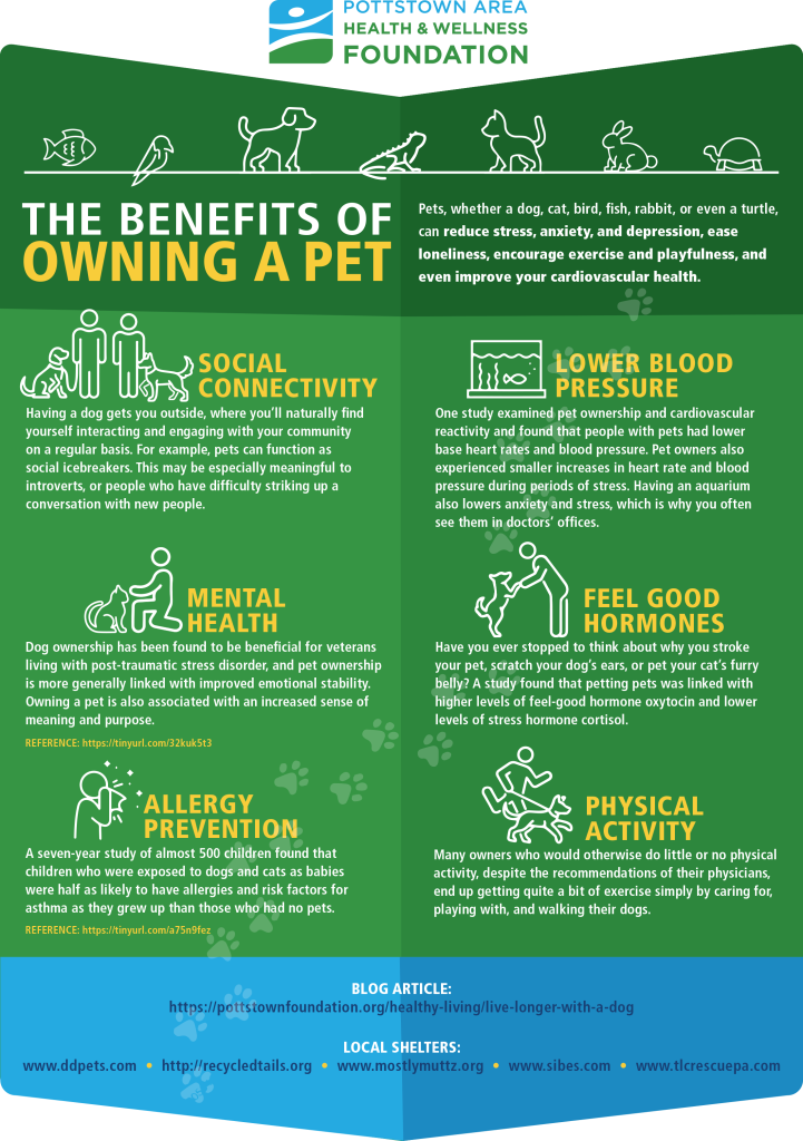 Infographic on the benefits of owning a pet