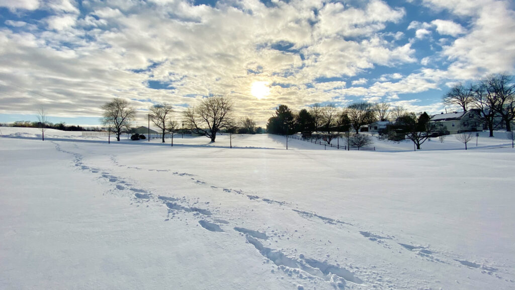 Snow covered field
