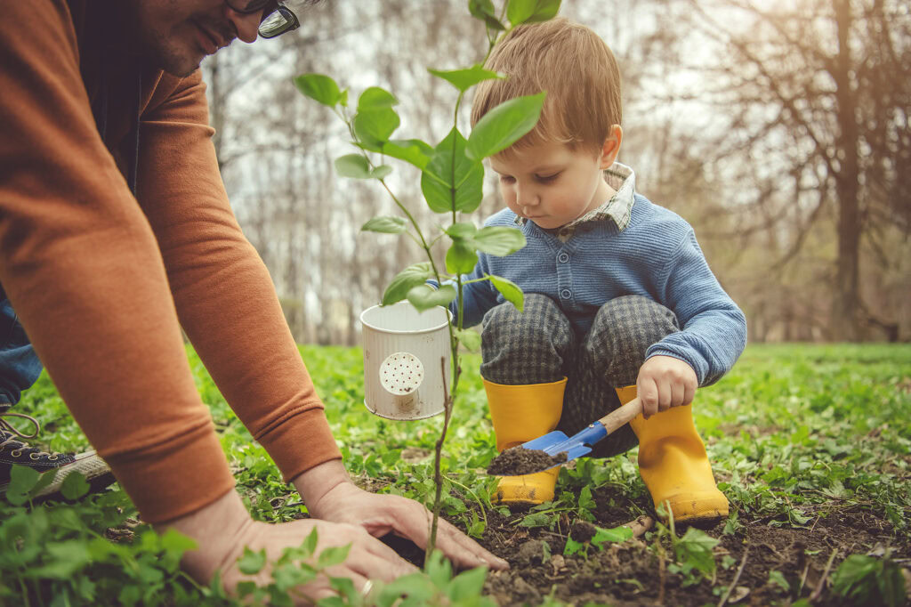 boy planting a tree for arbor day