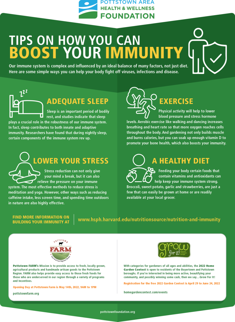 How to Boost Your Immunity infographic