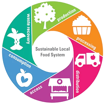 food-system copy