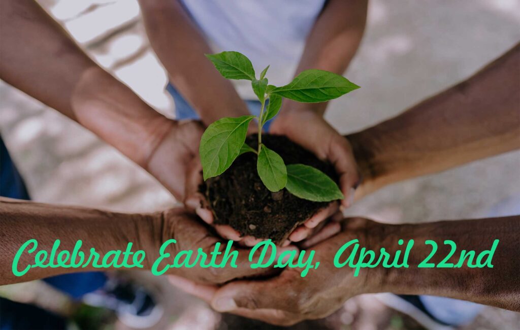 hands holding a plant for earth day