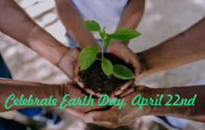 hands holding a plant for earth day